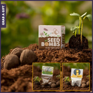 Grab a Gift Seed-Bomb - Promotionele zaadbal in doosje met logo bedrukking