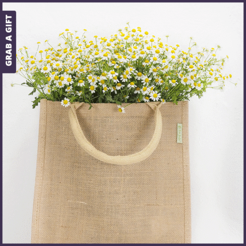 Grab a Gift - JUTE tas TERNDY bedrukken met logo