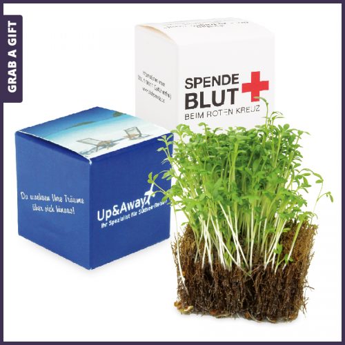 Grab a Gift - Kokos-kubus met tuinkers zaadjes bedrukken met logo