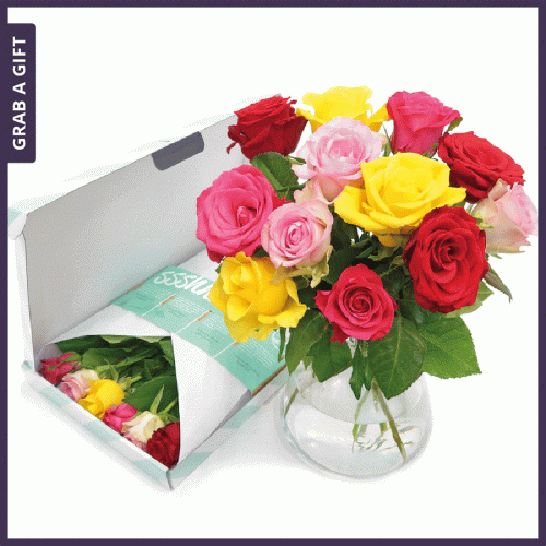 Grab a Gift Brievenbusbloemen - Gemengde rozen per post