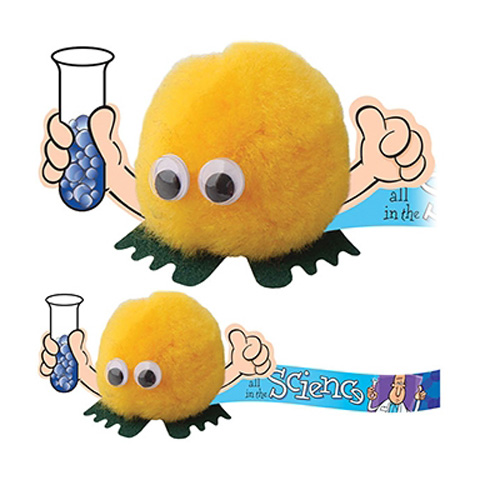 Winnie/Weepuls - Lab Reageerbuis TTHH-B