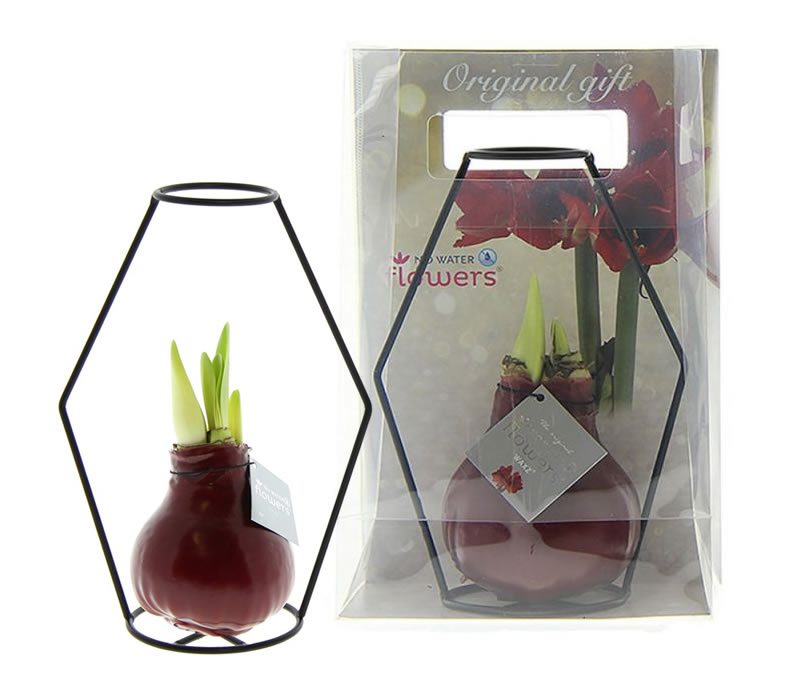 No Water Flowers® verpakt in Gift Bag met (bedrukte) insteekkaart