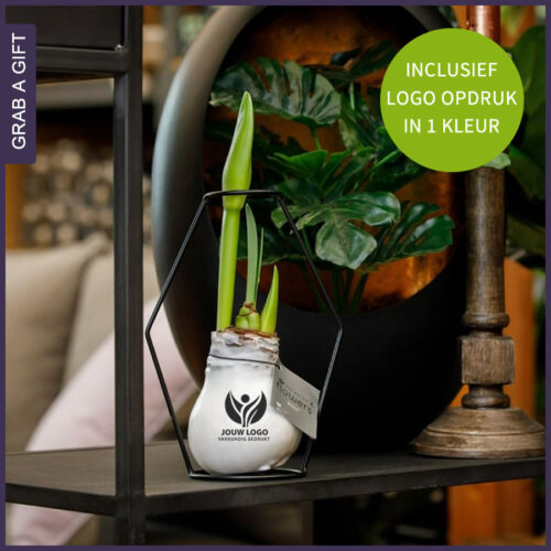 No Water Flowers met logo opdruk in modern Formz frame