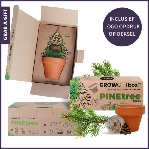 Kweekset 'groei-kado dennenboom' met logo opdruk op het doosje